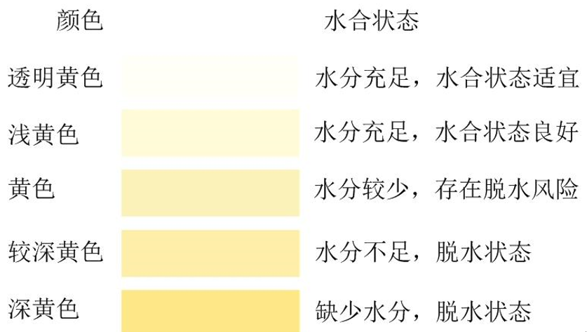 轮盘赌游戏